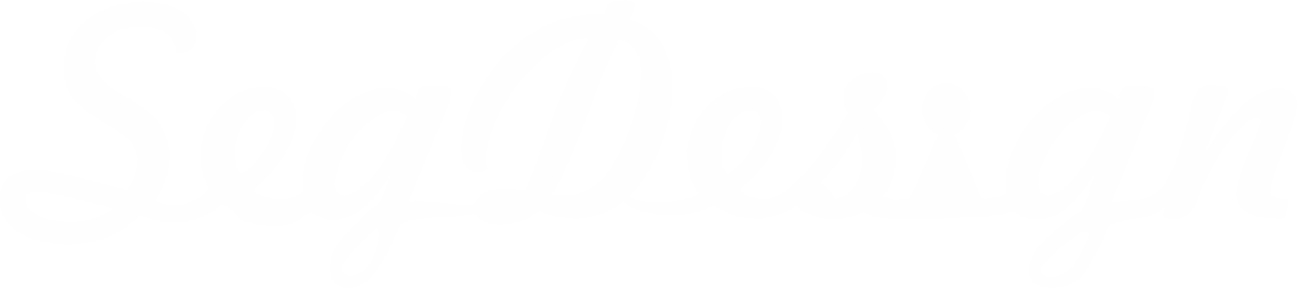 Logo SegDesign Rodapé